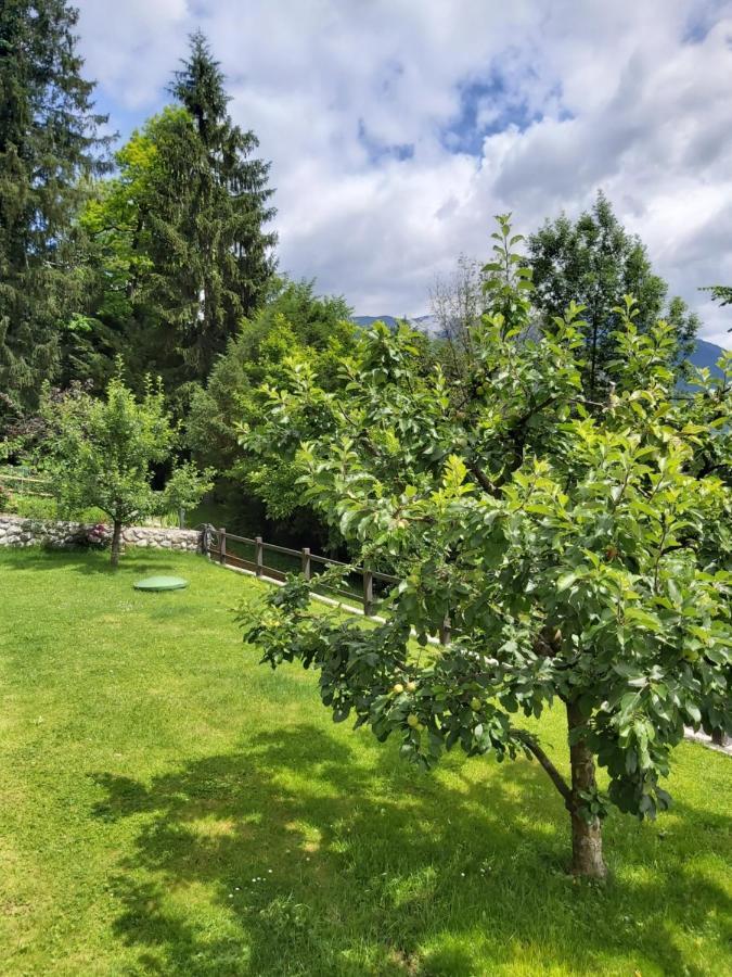 Apartma Arnez Bled Exterior photo